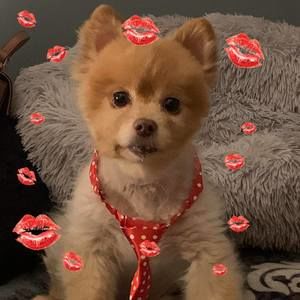 ON VACATION TILL CANADA POST STRIKE IS OFF